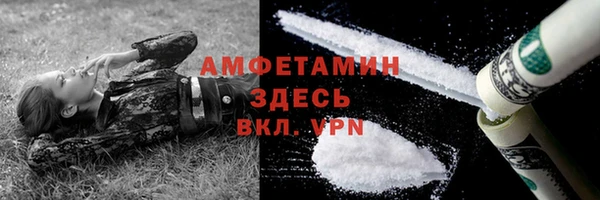 гидра Горнозаводск