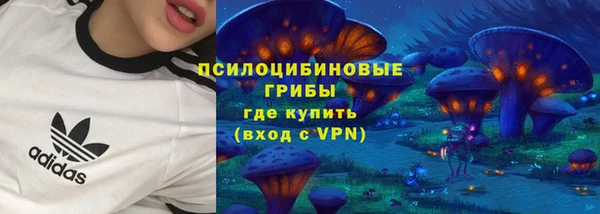 соль ск Горняк