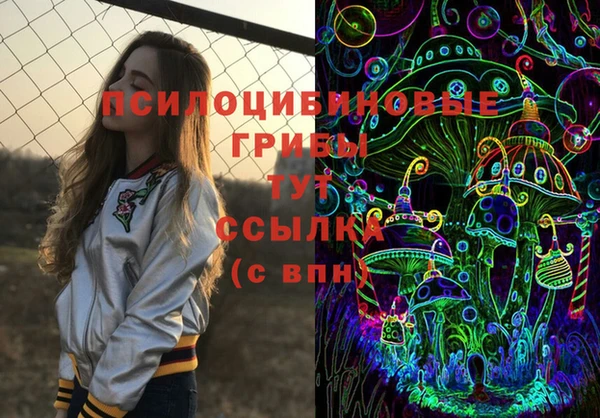 соль ск Горняк
