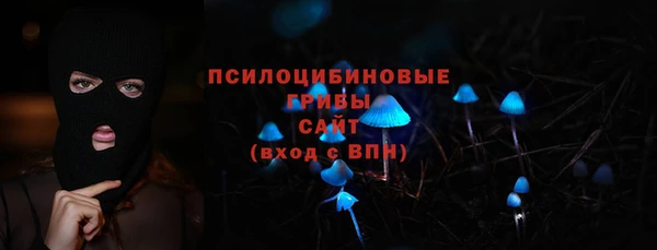 соль ск Горняк