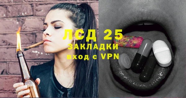 гидра Горнозаводск